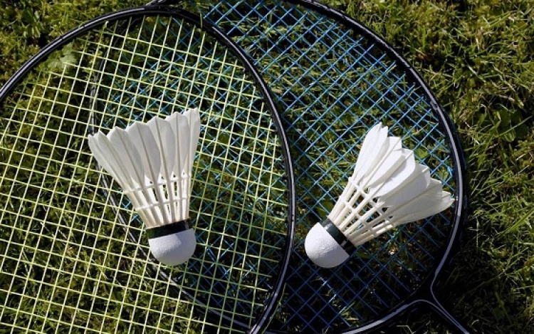 Team of the School Foreign Languages Among Winners of Badminton Competition